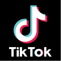 Free Tiktok profile metrics scraper – Export Data to CSV, Excel & JSON